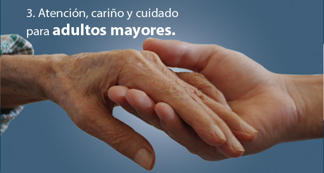 programa mision 3
